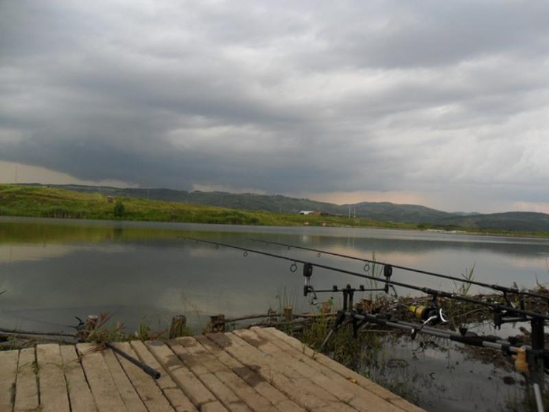 Green Paradise 28 - 30 iun. - sam0747.JPG